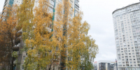 «‎Дома-молчуны»‎ в Петербурге не будут включать в программу новой реновации - Spbdnevnik.ru