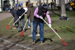 Два десятка кленов высадили в Петербурге