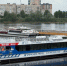 В Петербурге построят восемь новых катамаранов - tvspb.ru - ТК Санкт-Петербург