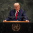 Трамп придумал, как урегулировать конфликт с Украиной - Петербургский дневник
