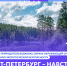 Узнать больше об экологических инициативах города вместе с Комитетом по природопользованию - СПГУТД