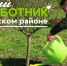 В Невском районе пройдёт традиционный осенний субботник - Невский район