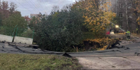 Фото: прокуратура Петербурга - Мой район