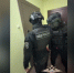 Крупную схему мошенничества с КАСКО раскрыли в Петербурге и Ленобласти - Peterburg2.Ru