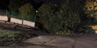 Фото: прокуратура Петербурга - Мой район