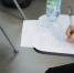 Фестиваль питомцев и уроки по работе с нейросетями: куда сходить бесплатно в Петербурге 25 и 26 октября - Neva.Today