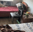 В Петербурге бизнесмена задержали за постановку на фиктивный учет 66 мигрантов - Neva.Today