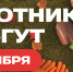 25 октября — субботник в СПбГУТ. Приглашаем всех! - СПбГУТ им. проф. М.А. Бонч-Бруевича