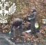 Росприроднадзор нашел источник загрязнения Охты и Муринского ручья - Петербургский дневник