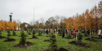 В рамках общегородского субботника в парке 300-летия высажено 80 елей и прошло награждение победителей конкурса детского рисунка - Комитет по благоустройству