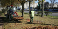Свыше 170 тысяч петербуржцев вышли на уборку городских территорий - ГАZЕТА.СПб