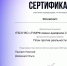 Обучающиеся ГУМРФ успешно выступили на международных транспортных проектных соревнованиях - ГМА им. адм. С.О.Макарова