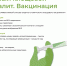Вирусный клещевой энцефалит. Вакцинация. - Городская поликлиника №109