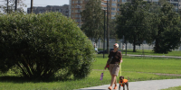 В Петербурге утвердили новые требования к содержанию домашних собак - Петербургский дневник