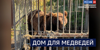Вести 24 - ГТРК Санкт-Петербург
