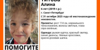 В Петербурге пропала шестилетняя девочка - Spbdnevnik.ru