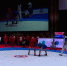 Двое петербургских спортсменов выступят на чемпионате мира по самбо - tvspb.ru - ТК Санкт-Петербург