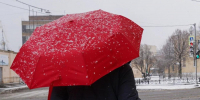 Фото: Виктория Арефьева / MR7 - Мой район