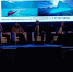 На Форуме «Баркемп 2025» обсудили ключевые вопросы развития Арктики - Комитет по внешним связям