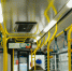 Юные петербуржцы запустили аудиогид по маршруту автобуса - Metro Петербург