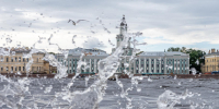 МЧС: в Петербурге 13 ноября ожидается усиление ветра - Spbdnevnik.ru
