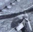 Скриншот видео: Ирина Волк - Мой район