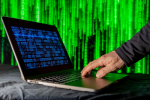 Бесплатный Wi-Fi в Петербурге помогает жителям оплачивать парковки