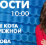 Новости Петербурга к 10:00 - tvspb.ru - ТК Санкт-Петербург