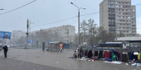Конец недели порадовал жителей Петербурга первым снегом и солнцем - Neva.Today