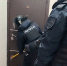 Сотрудники ФСБ совместно с уголовным розыском задержали банду лжеполицейских - ГТРК Санкт-Петербург