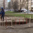 В Петербурге на улице Маршала Казакова произошла авария - Spbdnevnik.ru