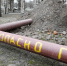 В Выборгском районе газифицировали четыре населенных пункта - ГАZЕТА.СПб