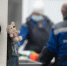 Более 74 тонн опасных отходов собрали экослужбы в Петербурге за неделю - Комсомольская правда