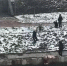 В Петербурге спасли ребенка, упавшего в Матисов канал - Петербургский дневник