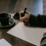 Госдума предлагает ввести понятие «деструктивного контента» - Lenizdat.ru