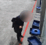 В аэропорту Пулково раскрыта кража наручных часов - Spbdnevnik.ru
