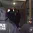 Полицейские с собаками проверили постояльцев хостела в Репино - Петербургский дневник