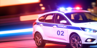 ДТП в Шушарах: автобус №196 влетел в фуру - tvspb.ru - ТК Санкт-Петербург