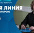 Смотрите прямо сейчас прямую линию с вице-губернатором Натальей Чечиной - tvspb.ru - ТК Санкт-Петербург