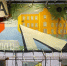 "Город П": в Петербурге представили трёхуровневую выставку - Metro Петербург
