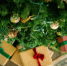 В России дан старт ежегодной благотворительной акции «Ёлка желаний» | ФОТО Oxana Melis on Unsplash - С.-Петербургские ведомости