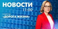 Новости Петербурга к 11:00 - tvspb.ru - ТК Санкт-Петербург