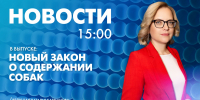 Новости Петербурга к 15:00 - tvspb.ru - ТК Санкт-Петербург