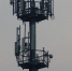Частные LTE-сети: кто из операторов возглавил рынок в России и Казахстане - Neva.Today