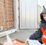 Из Санкт-Петербурга экспортировано более 2 тысяч тонн камчатского краба в 5 стран мира - Россельхознадзор