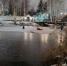 В петербургском парке Городов-Героев спасли женщину со льда - ГАZЕТА.СПб