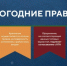 КГА выпустил гайд по праздничному декору витрин для бизнеса - Санкт-Петербург.ру