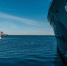 Судно обновлённого проекта 05380 «Грифон-9» спустили на воду | ФОТО Kamil Molendys on Unsplash - С.-Петербургские ведомости