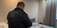 В Санкт-Петербурге возбуждено уголовное дело по факту убийства новорожденного - Следственный комитет
