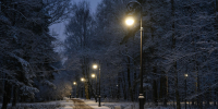 Масштабная реконструкция освещения сделала комфортным и безопасным парк Александрино - Spbdnevnik.ru